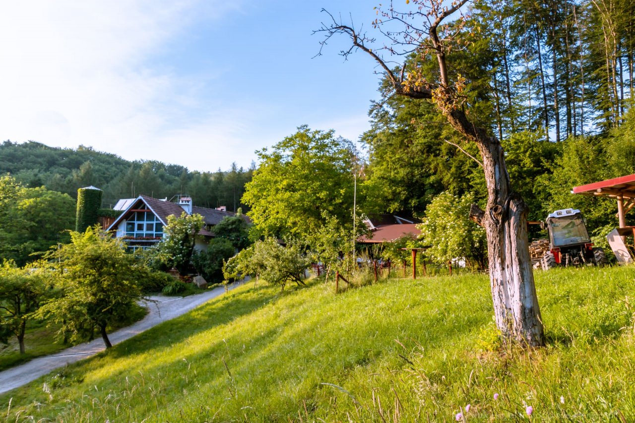 Redlingerhütte by Peter Havel
