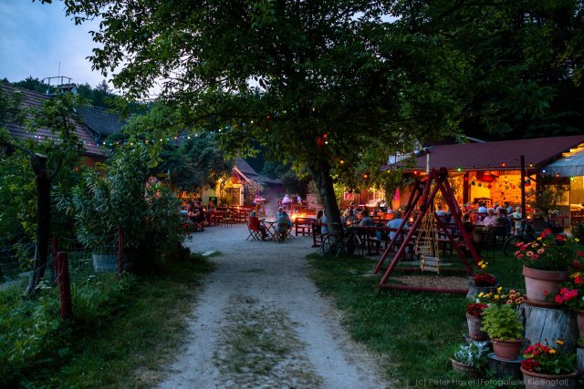 Redlingerhütte by Peter Havel