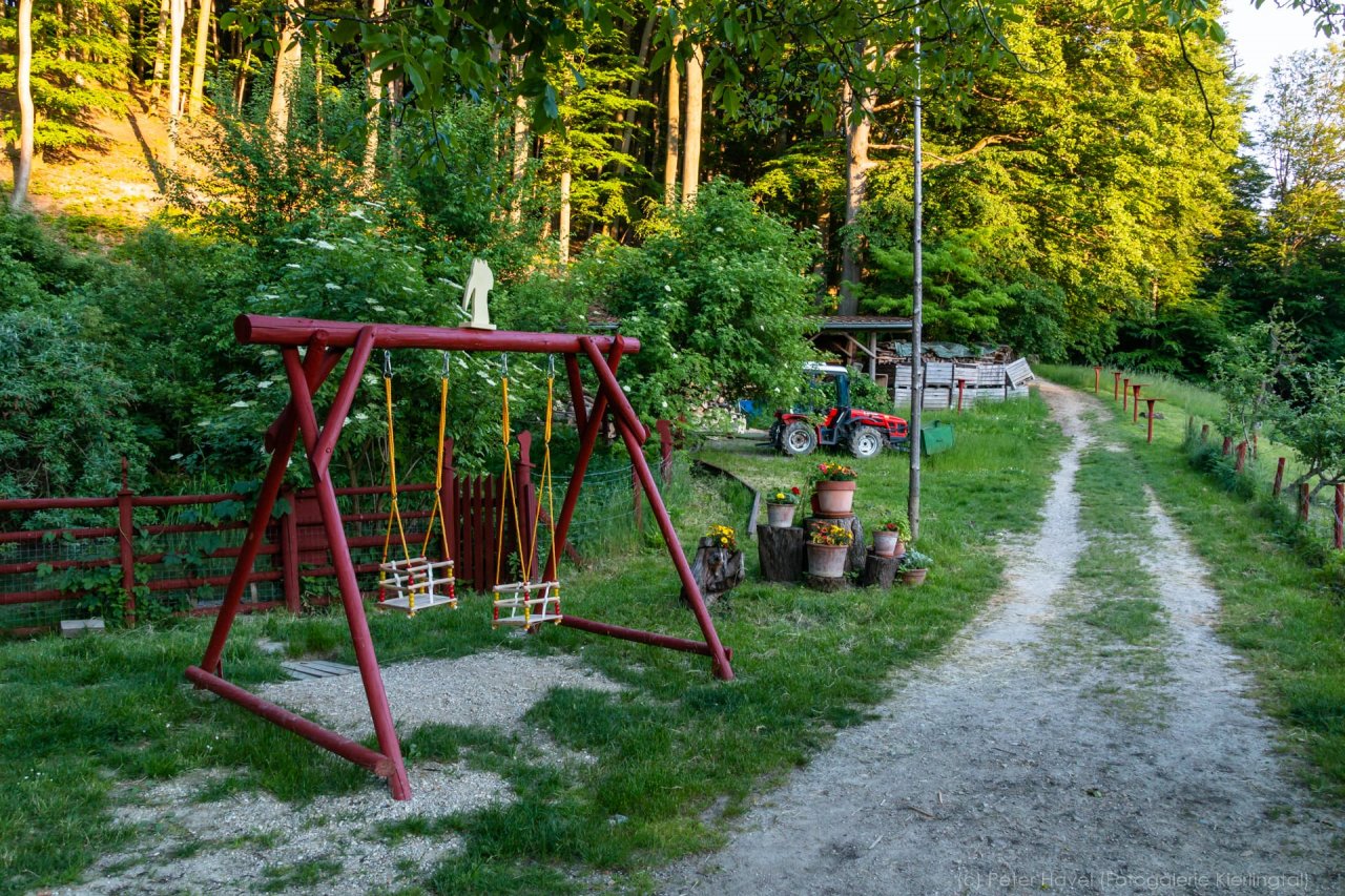 Redlingerhütte by Peter Havel